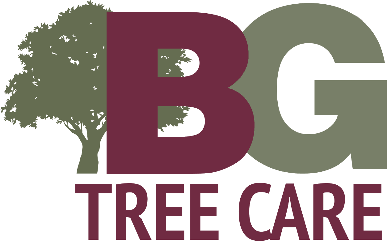B.G. Tree Care